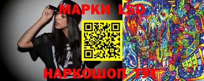 шишки Гусиноозёрск