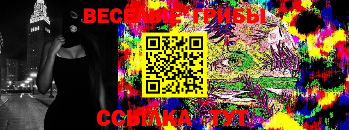Муром  Псилоцибиновые грибы MAGIC MUSHROOMS  Вход с VPN 