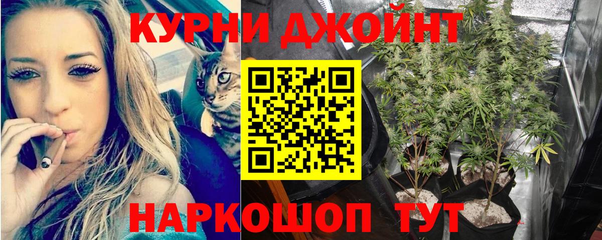 Муром  Марихуана THC 21%  Вход с VPN  Канабис Bruce Banner  Марихуана ГИДРОПОН  Каннабис OG Kush 